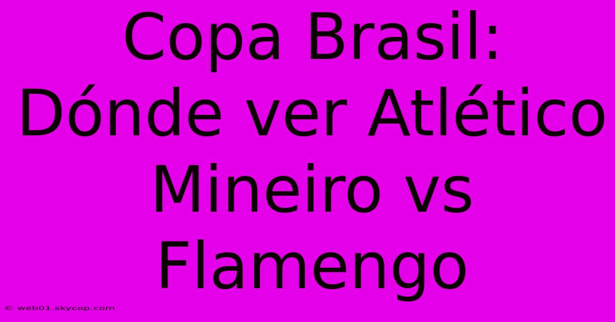 Copa Brasil: Dónde Ver Atlético Mineiro Vs Flamengo