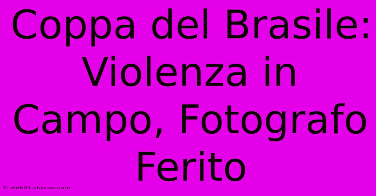 Coppa Del Brasile: Violenza In Campo, Fotografo Ferito