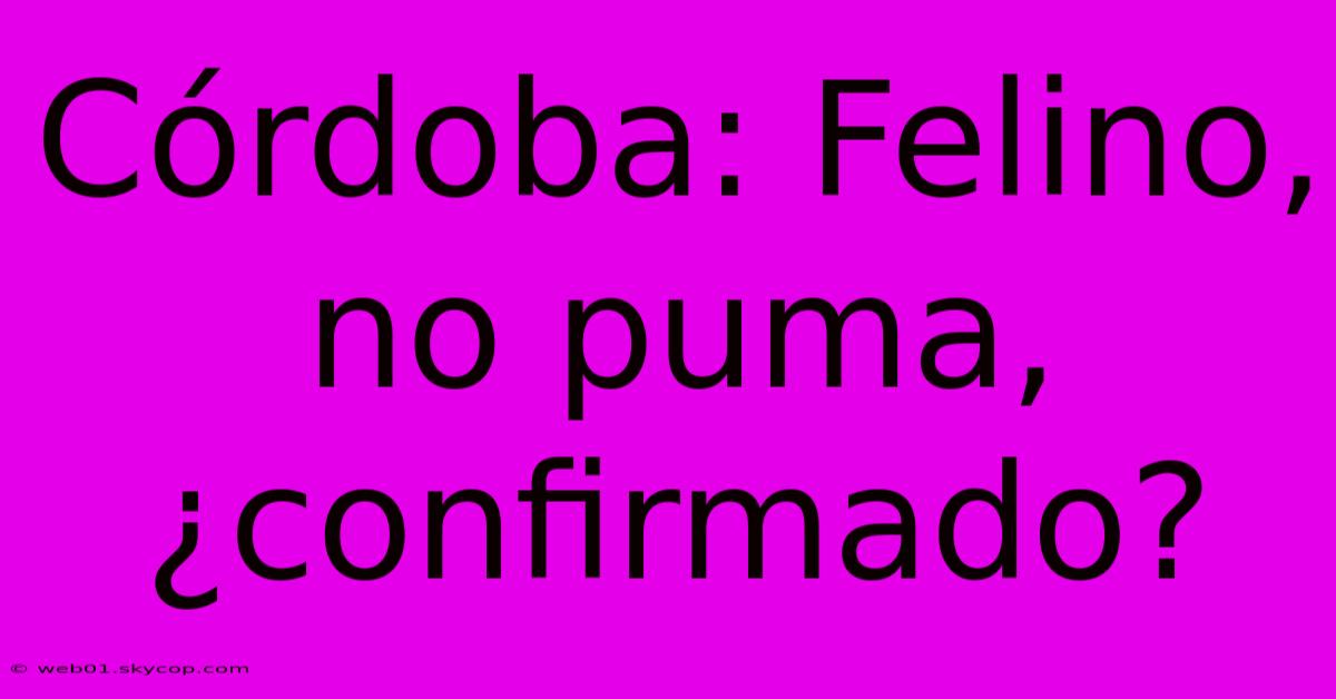 Córdoba: Felino, No Puma, ¿confirmado?