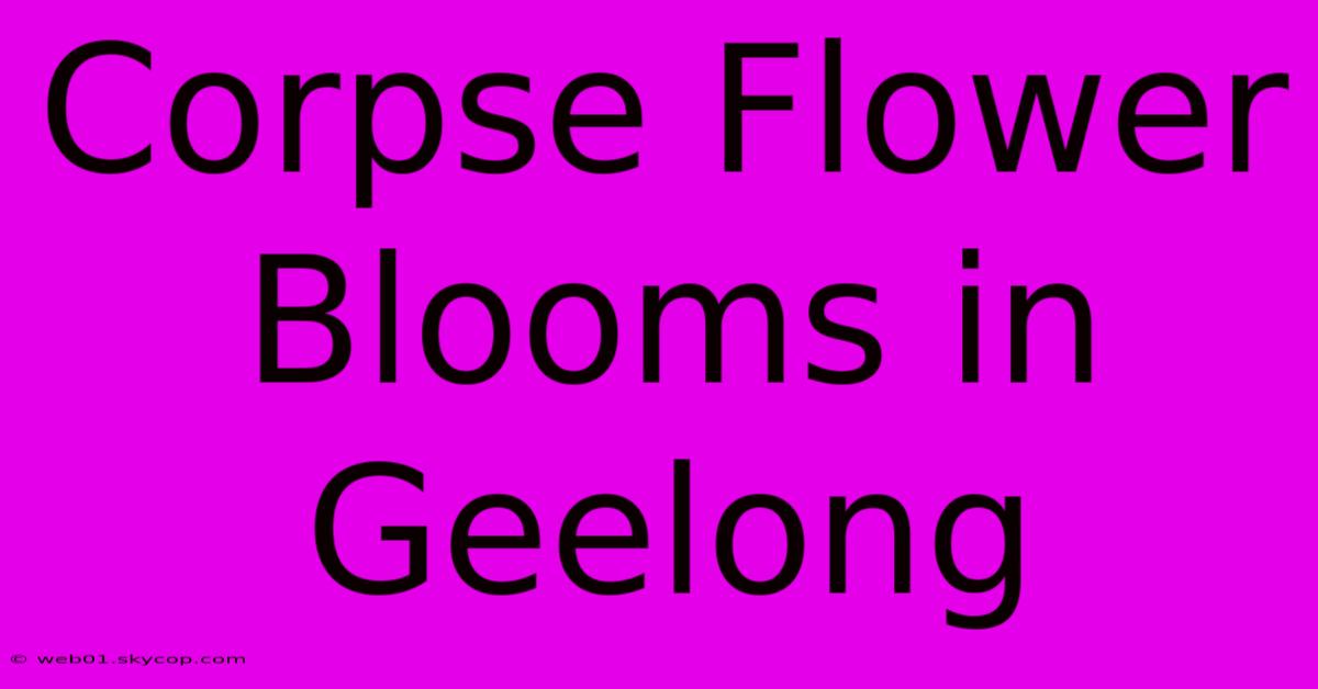 Corpse Flower Blooms In Geelong