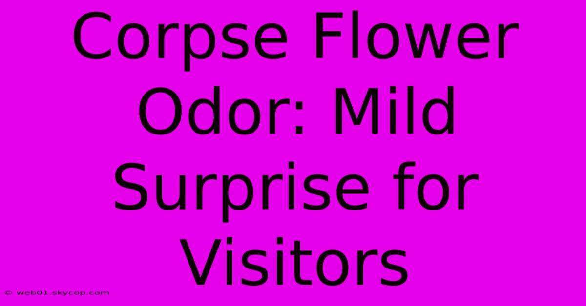 Corpse Flower Odor: Mild Surprise For Visitors 