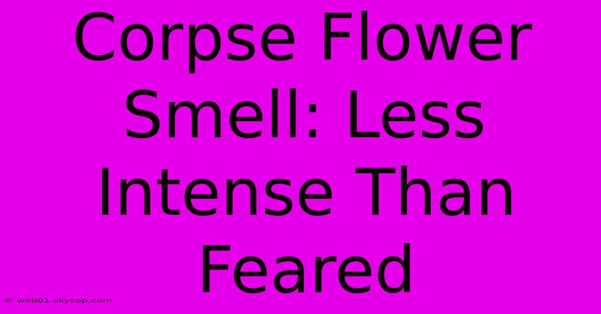 Corpse Flower Smell: Less Intense Than Feared