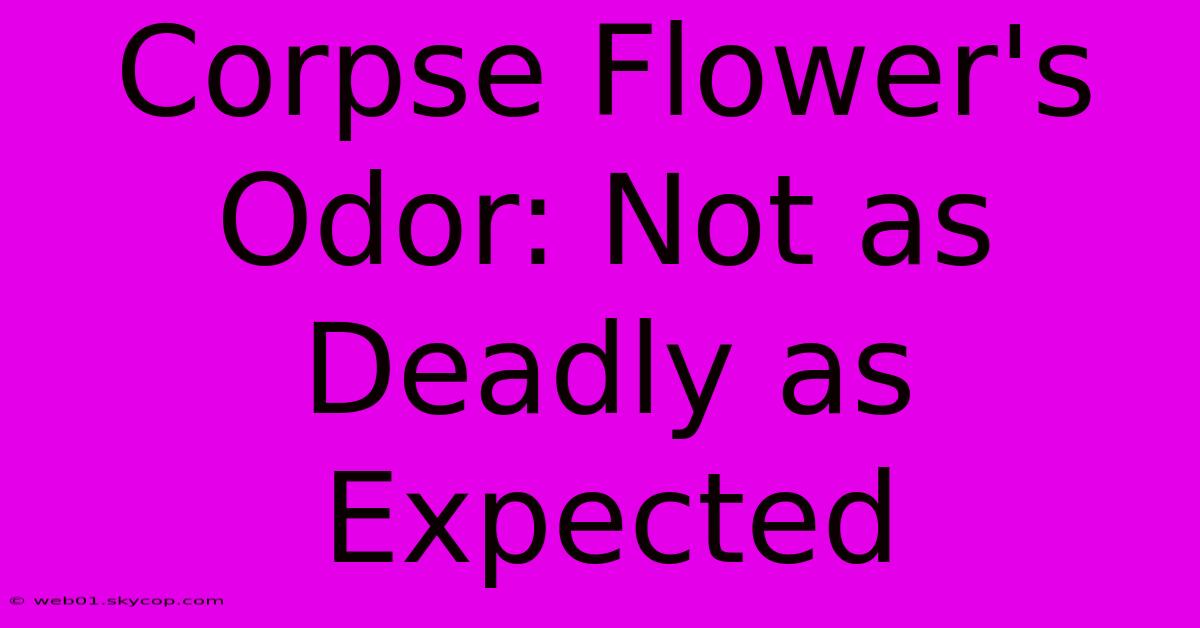 Corpse Flower's Odor: Not As Deadly As Expected