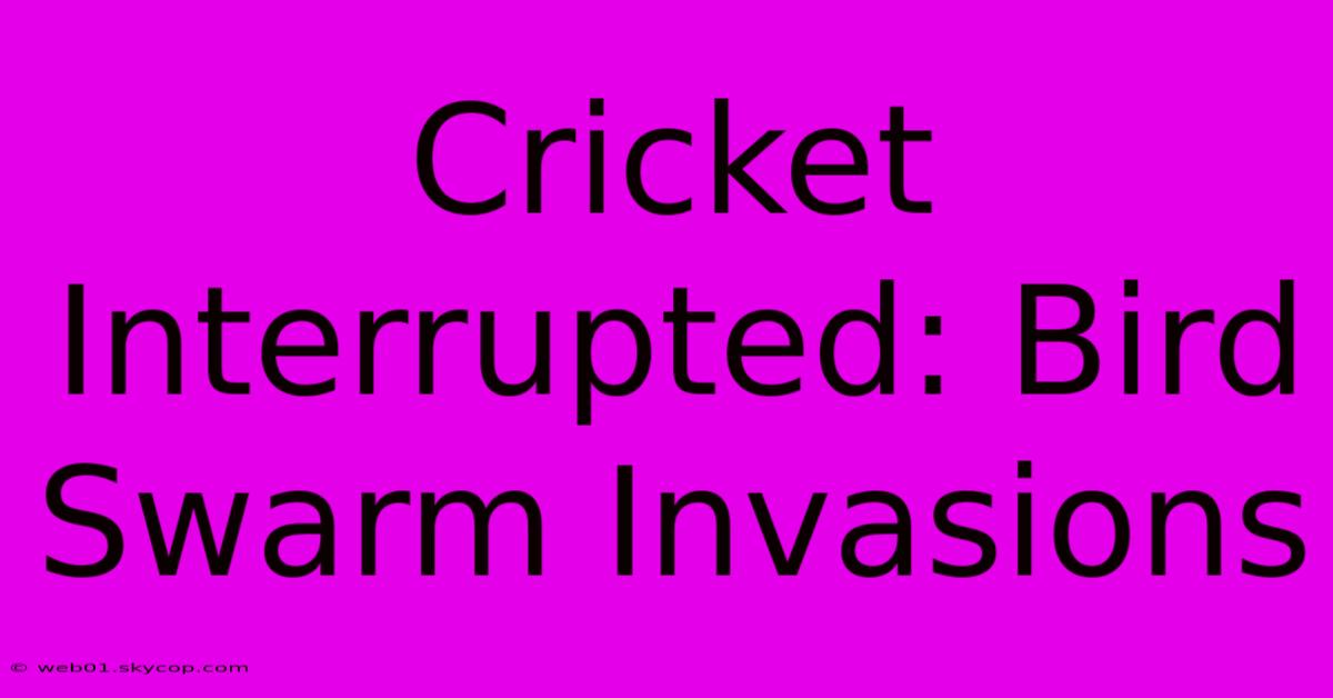 Cricket Interrupted: Bird Swarm Invasions 