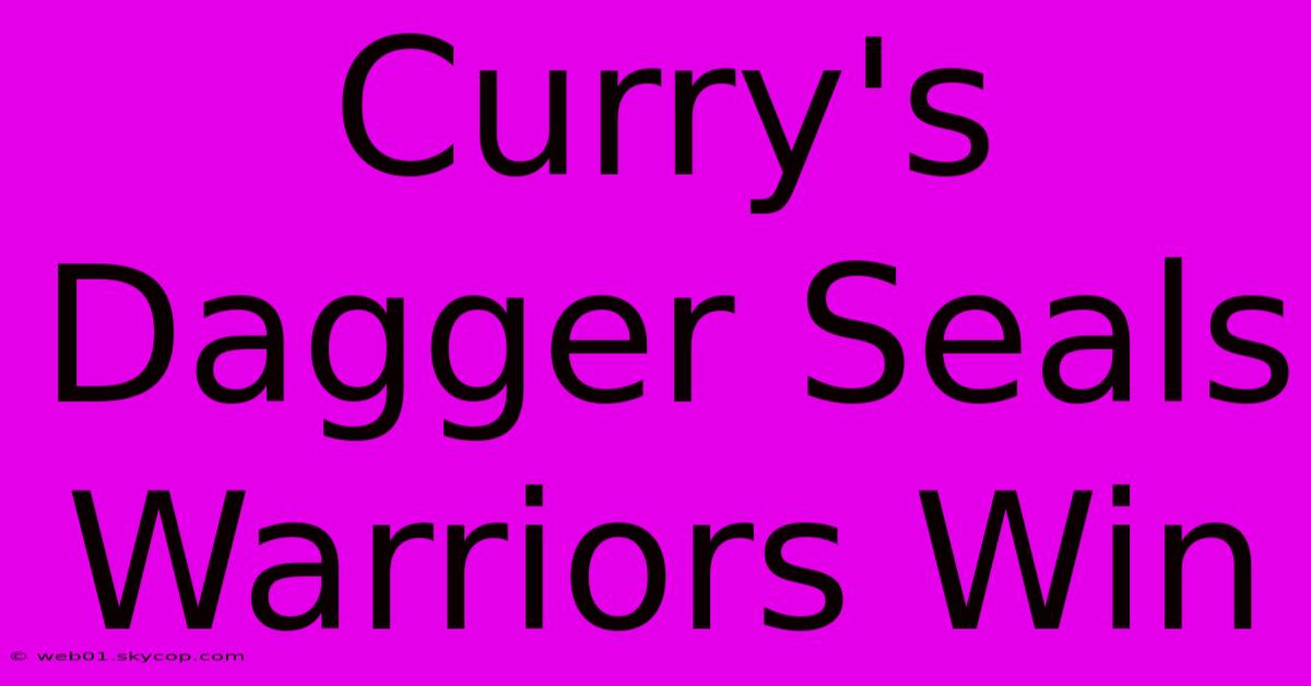 Curry's Dagger Seals Warriors Win