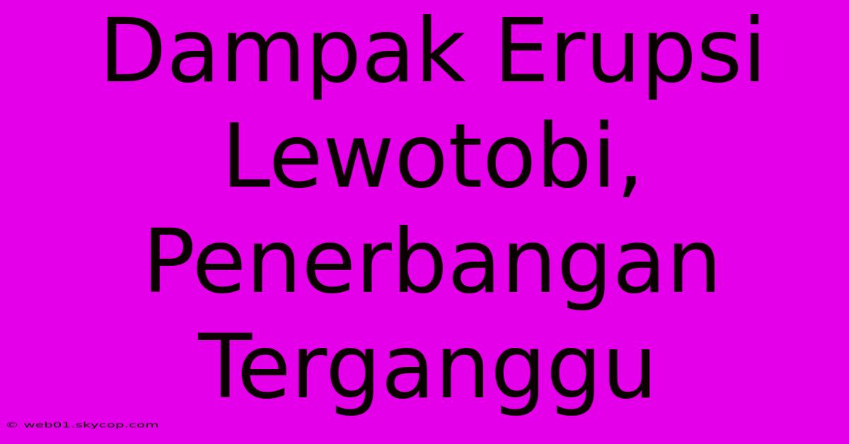 Dampak Erupsi Lewotobi, Penerbangan Terganggu