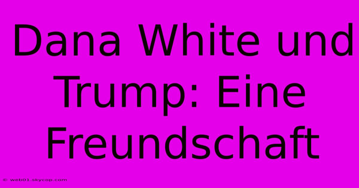 Dana White Und Trump: Eine Freundschaft