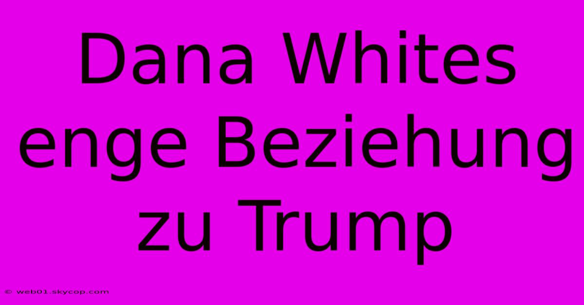 Dana Whites Enge Beziehung Zu Trump