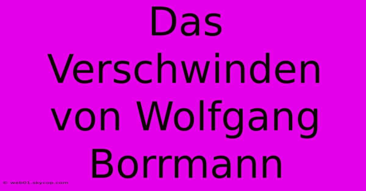 Das Verschwinden Von Wolfgang Borrmann