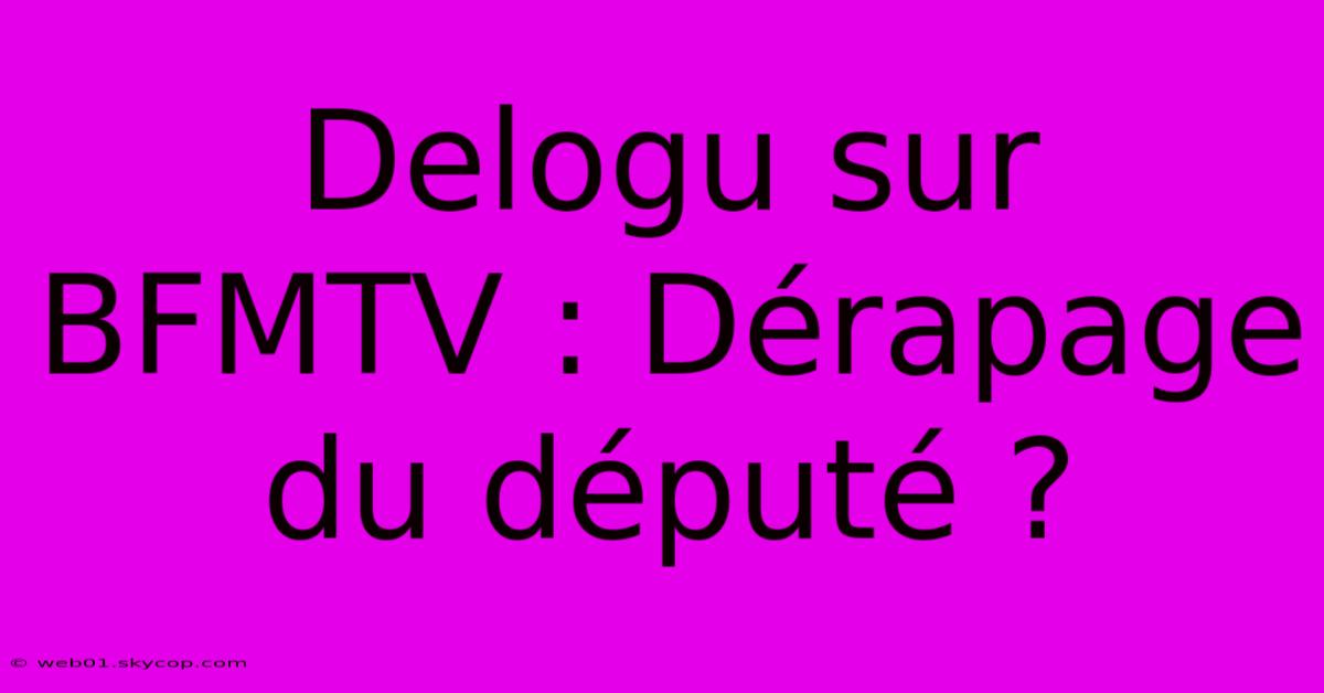 Delogu Sur BFMTV : Dérapage Du Député ?