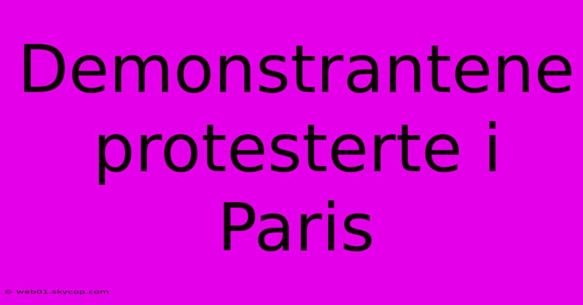 Demonstrantene Protesterte I Paris