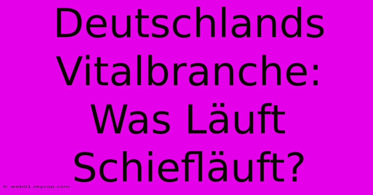 Deutschlands Vitalbranche: Was Läuft Schiefläuft?