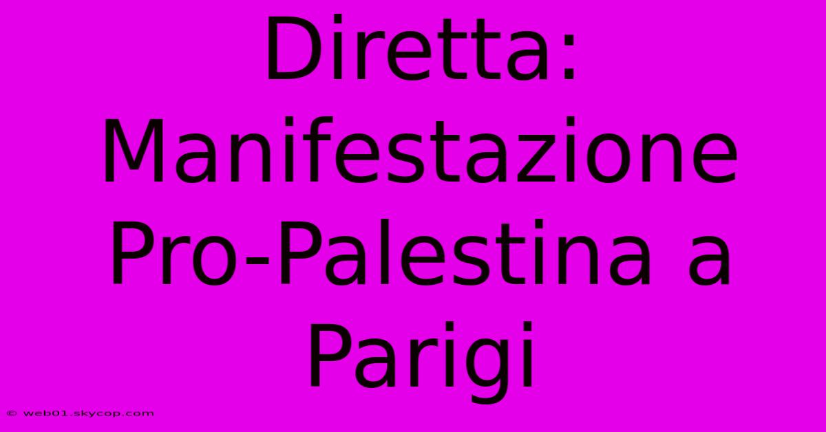 Diretta: Manifestazione Pro-Palestina A Parigi