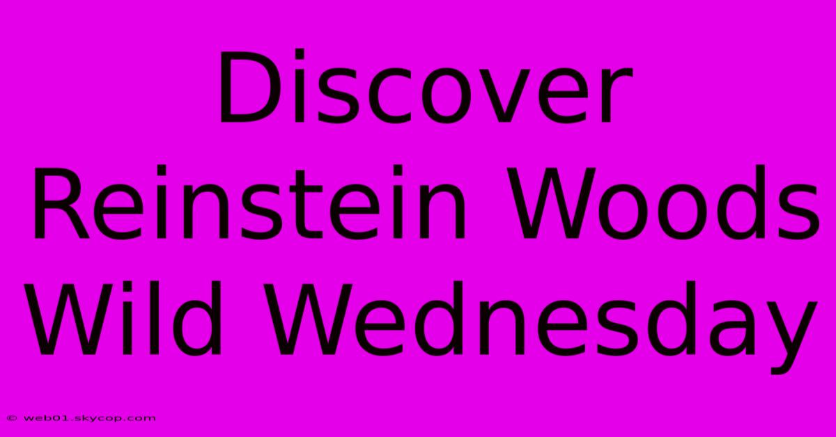 Discover Reinstein Woods Wild Wednesday