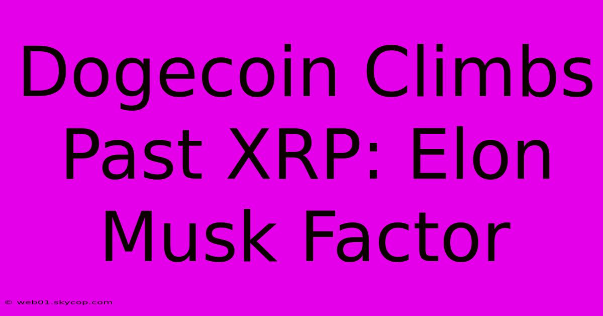 Dogecoin Climbs Past XRP: Elon Musk Factor