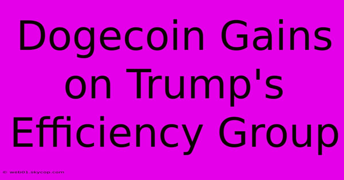 Dogecoin Gains On Trump's Efficiency Group 