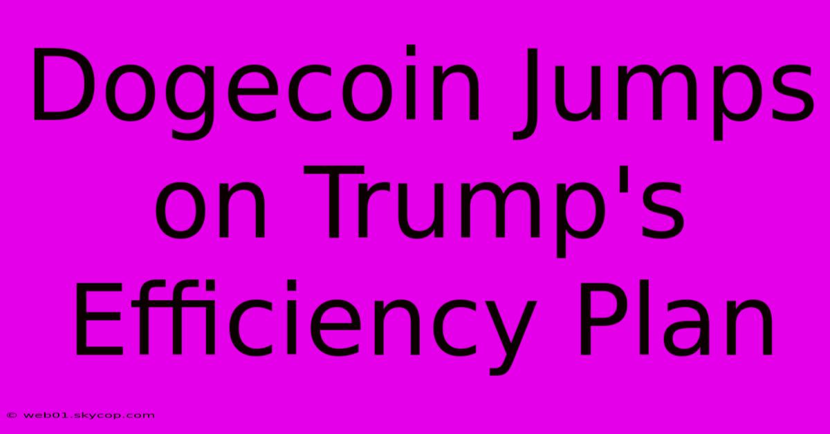 Dogecoin Jumps On Trump's Efficiency Plan