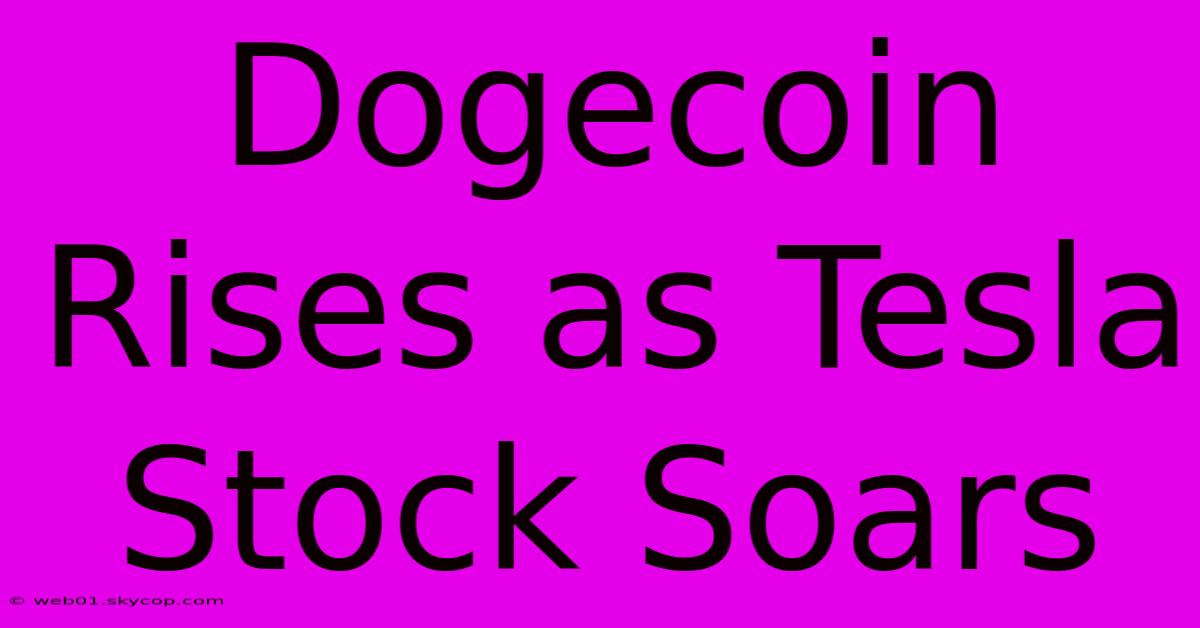 Dogecoin Rises As Tesla Stock Soars 