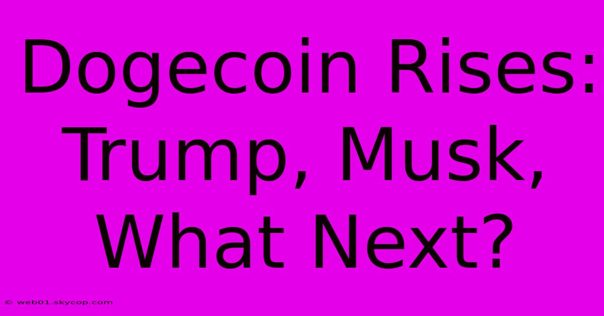 Dogecoin Rises: Trump, Musk, What Next?