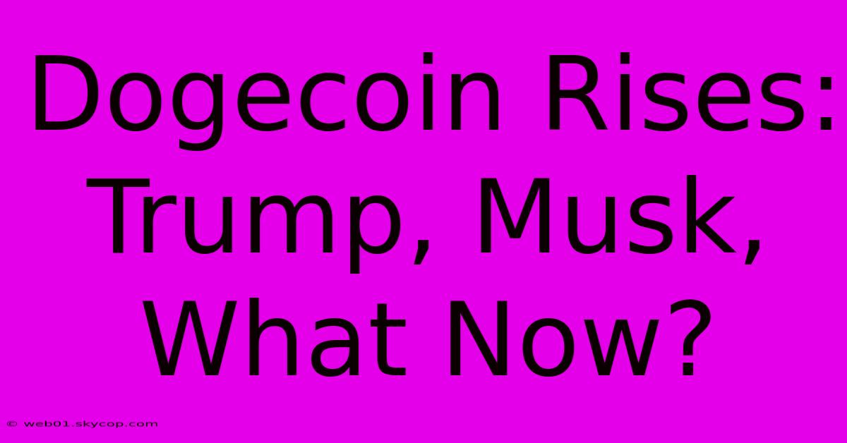 Dogecoin Rises: Trump, Musk, What Now?