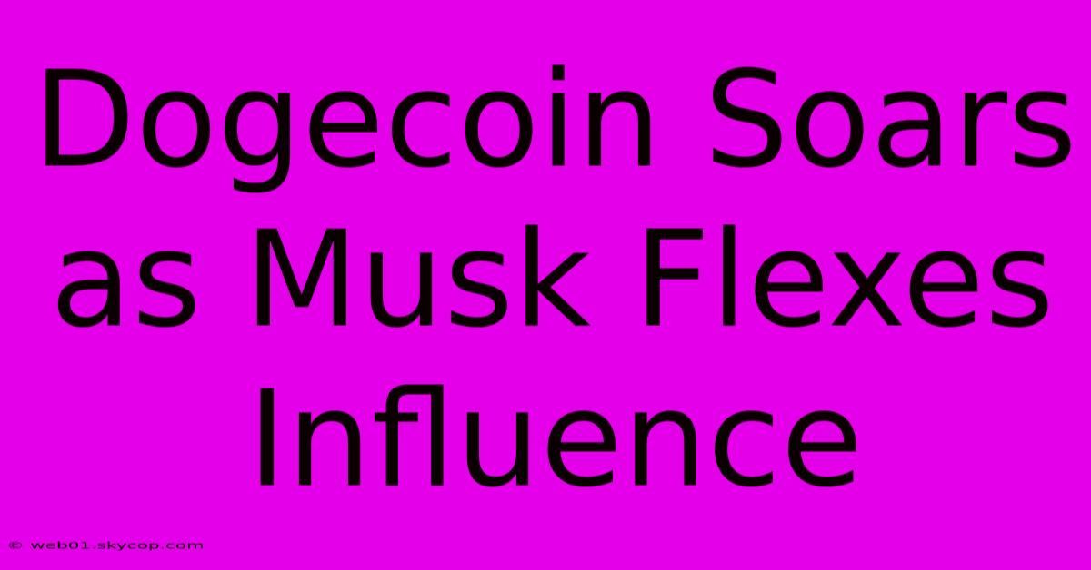 Dogecoin Soars As Musk Flexes Influence