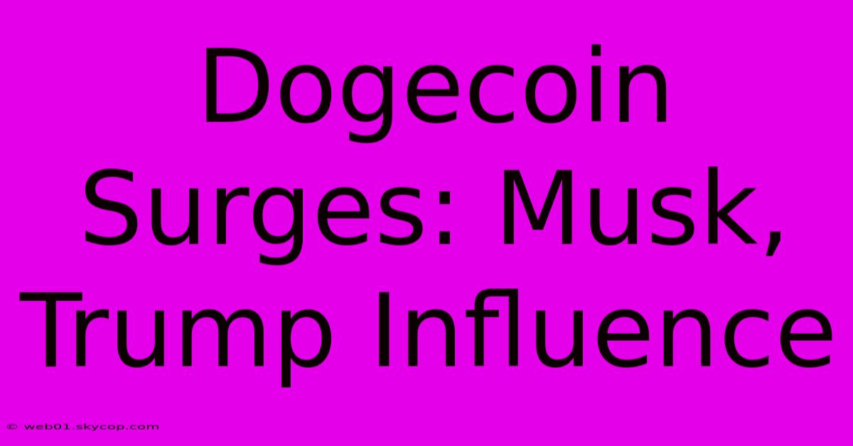 Dogecoin Surges: Musk, Trump Influence