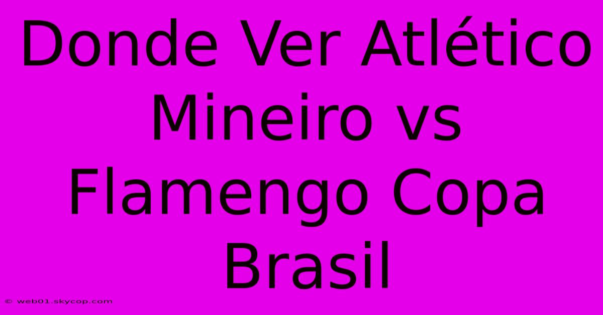 Donde Ver Atlético Mineiro Vs Flamengo Copa Brasil