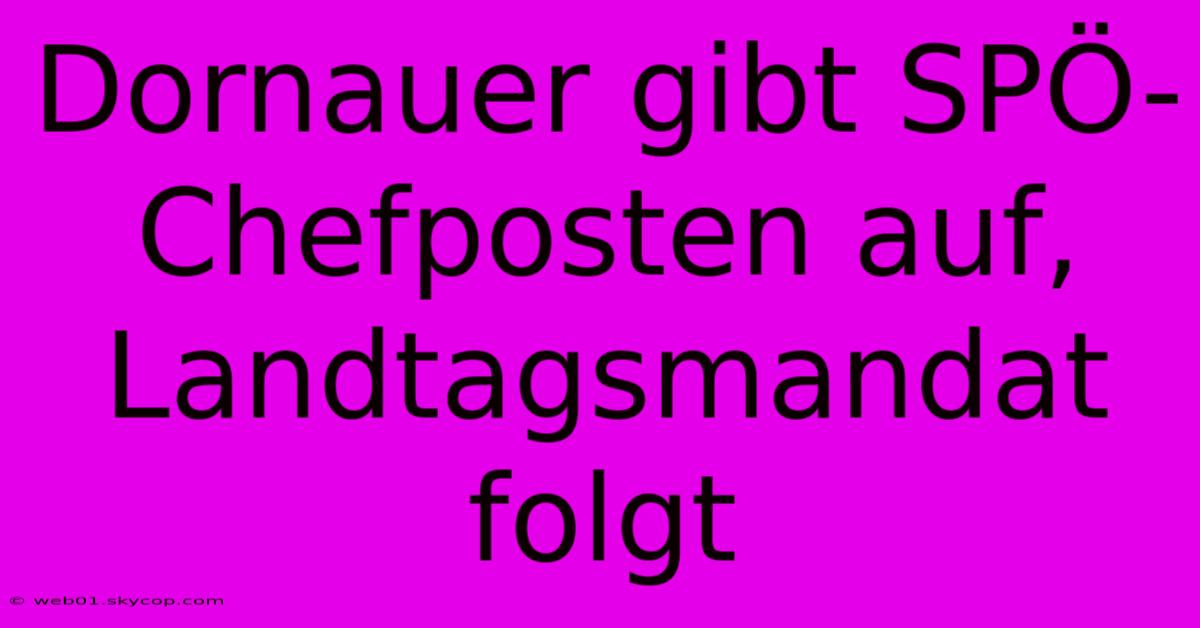 Dornauer Gibt SPÖ-Chefposten Auf, Landtagsmandat Folgt