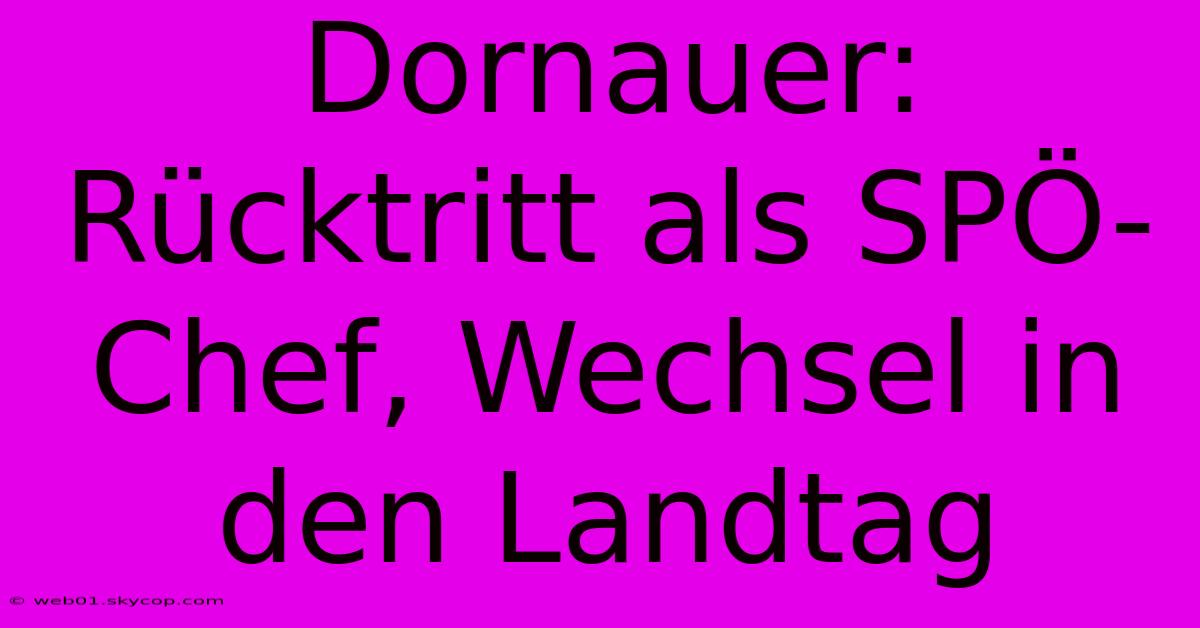 Dornauer: Rücktritt Als SPÖ-Chef, Wechsel In Den Landtag