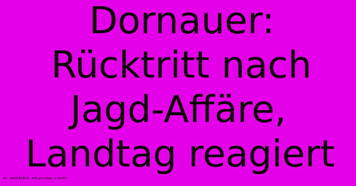 Dornauer: Rücktritt Nach Jagd-Affäre, Landtag Reagiert