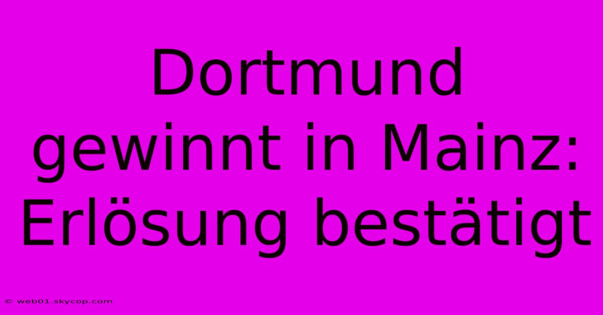 Dortmund Gewinnt In Mainz: Erlösung Bestätigt 