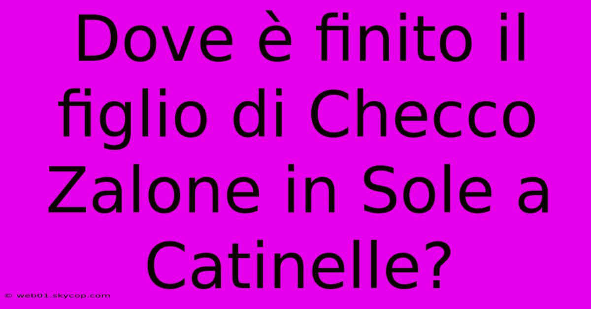 Dove È Finito Il Figlio Di Checco Zalone In Sole A Catinelle?