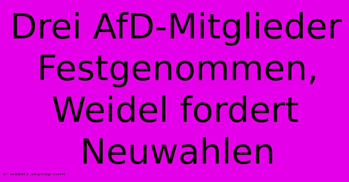 Drei AfD-Mitglieder Festgenommen, Weidel Fordert Neuwahlen