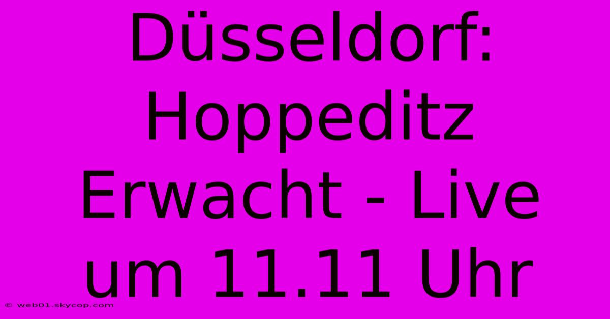 Düsseldorf: Hoppeditz Erwacht - Live Um 11.11 Uhr