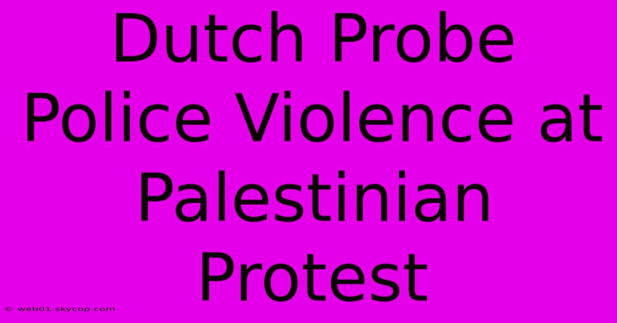 Dutch Probe Police Violence At Palestinian Protest