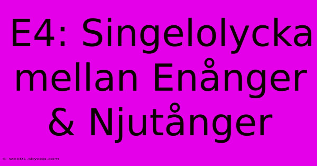 E4: Singelolycka Mellan Enånger & Njutånger