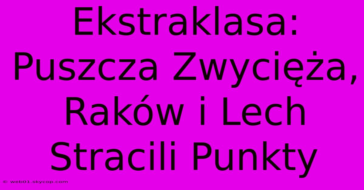 Ekstraklasa: Puszcza Zwycięża, Raków I Lech Stracili Punkty