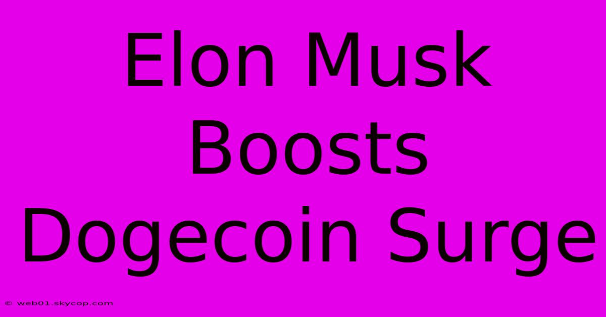 Elon Musk Boosts Dogecoin Surge