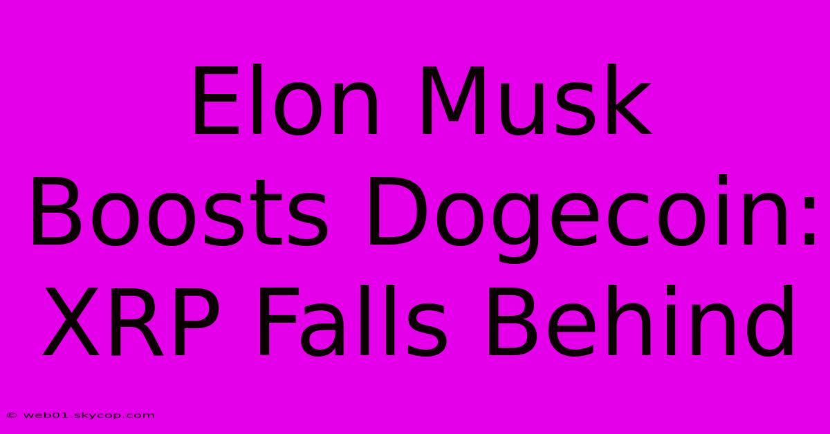 Elon Musk Boosts Dogecoin: XRP Falls Behind 