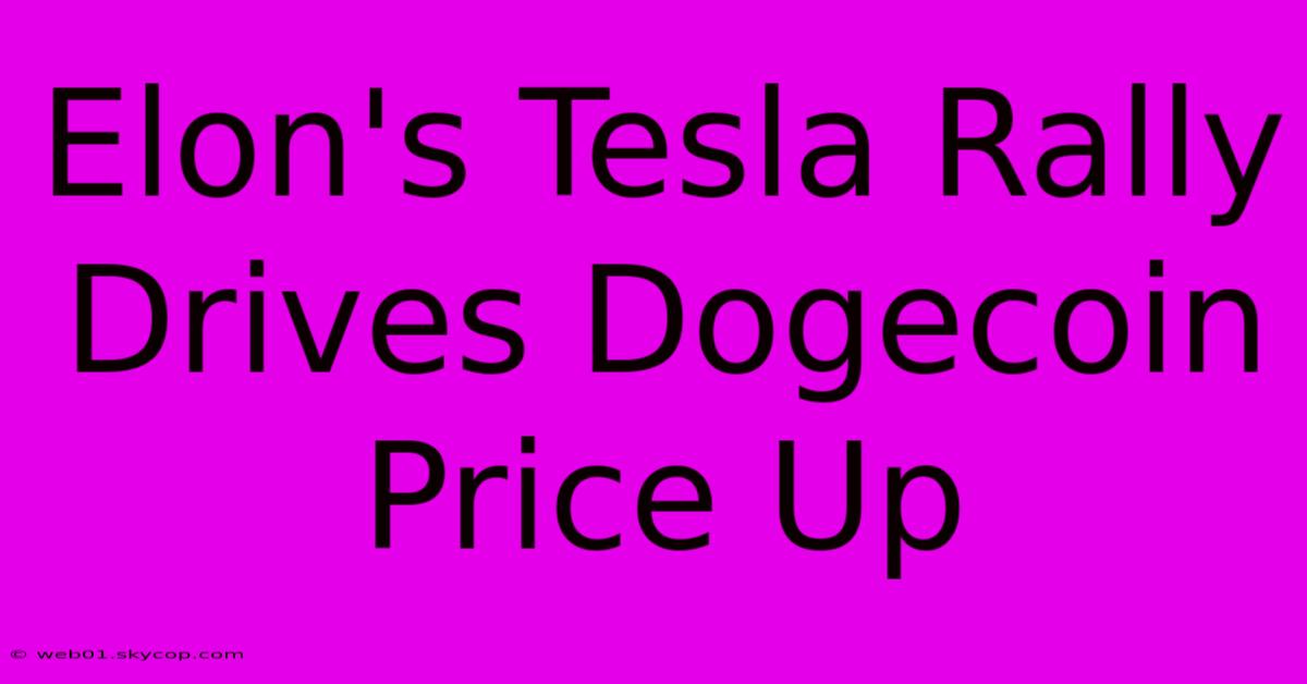 Elon's Tesla Rally Drives Dogecoin Price Up