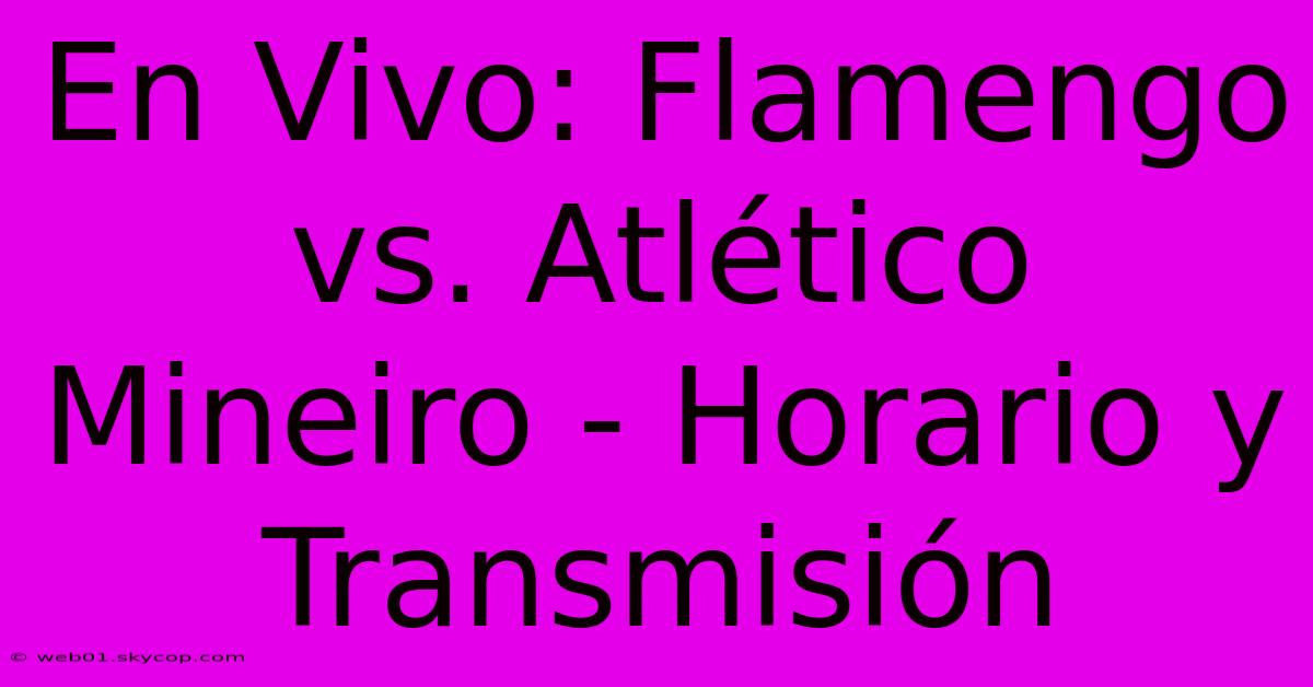 En Vivo: Flamengo Vs. Atlético Mineiro - Horario Y Transmisión 