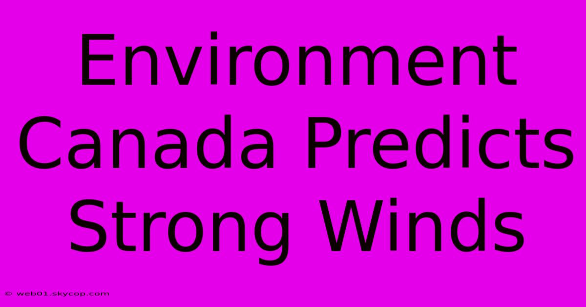 Environment Canada Predicts Strong Winds 