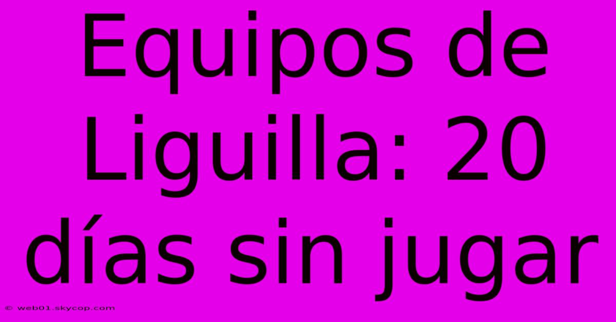 Equipos De Liguilla: 20 Días Sin Jugar