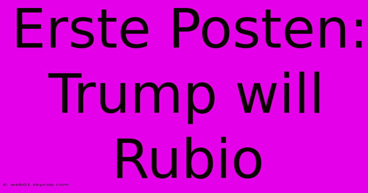 Erste Posten: Trump Will Rubio 