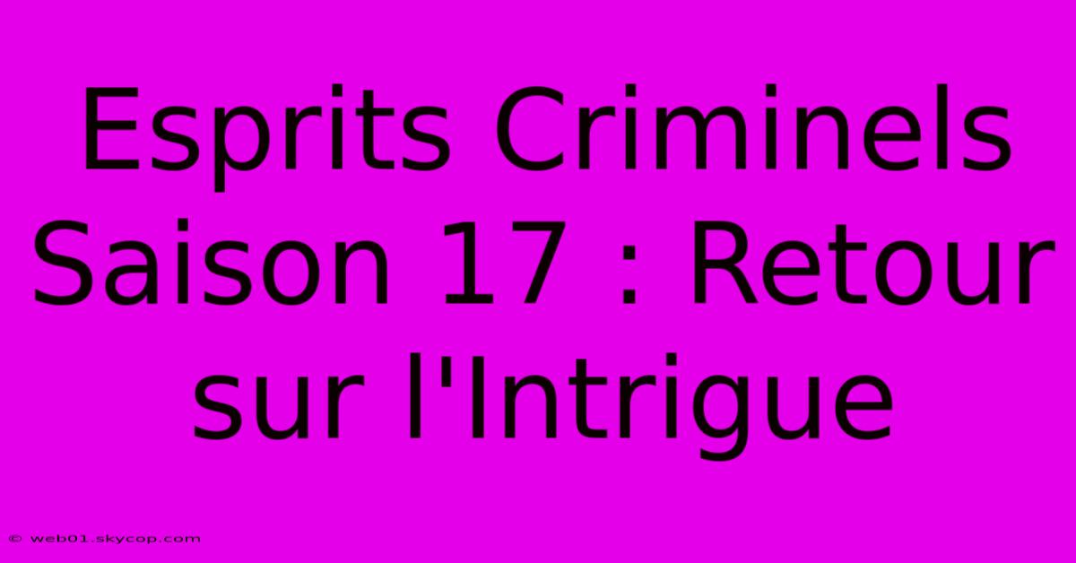 Esprits Criminels Saison 17 : Retour Sur L'Intrigue 