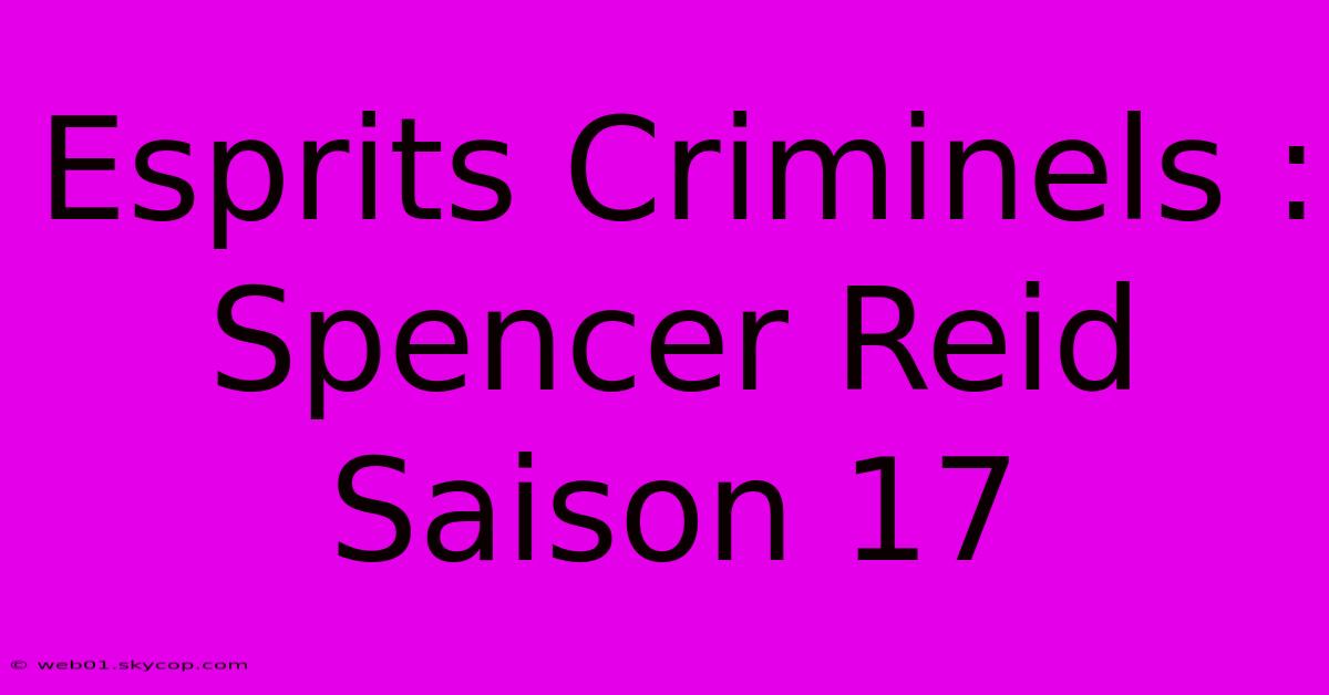 Esprits Criminels : Spencer Reid Saison 17