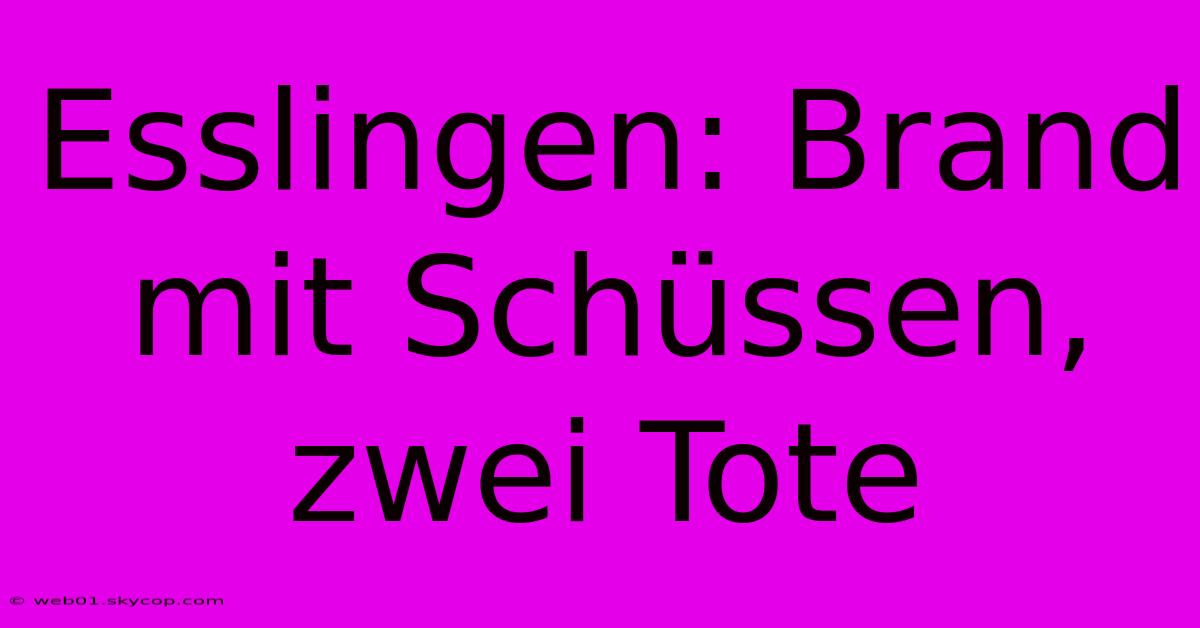 Esslingen: Brand Mit Schüssen, Zwei Tote