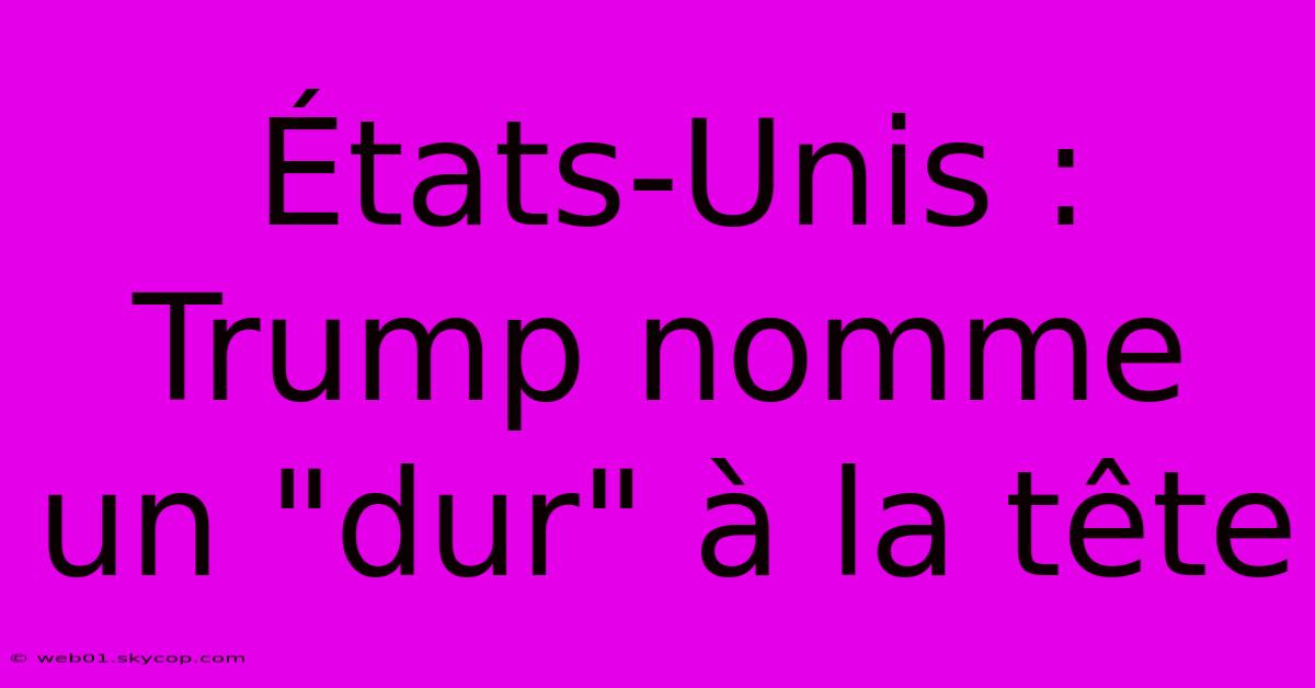 États-Unis : Trump Nomme Un 