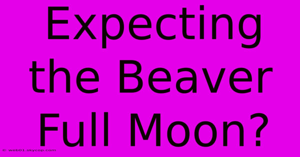 Expecting The Beaver Full Moon? 