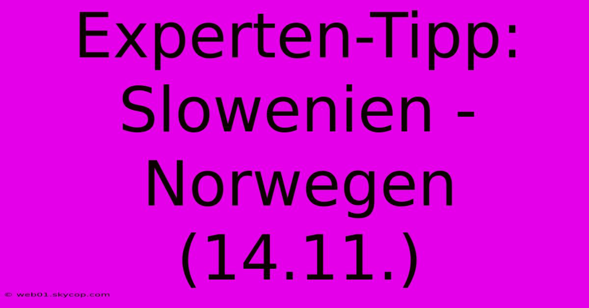 Experten-Tipp: Slowenien - Norwegen (14.11.)